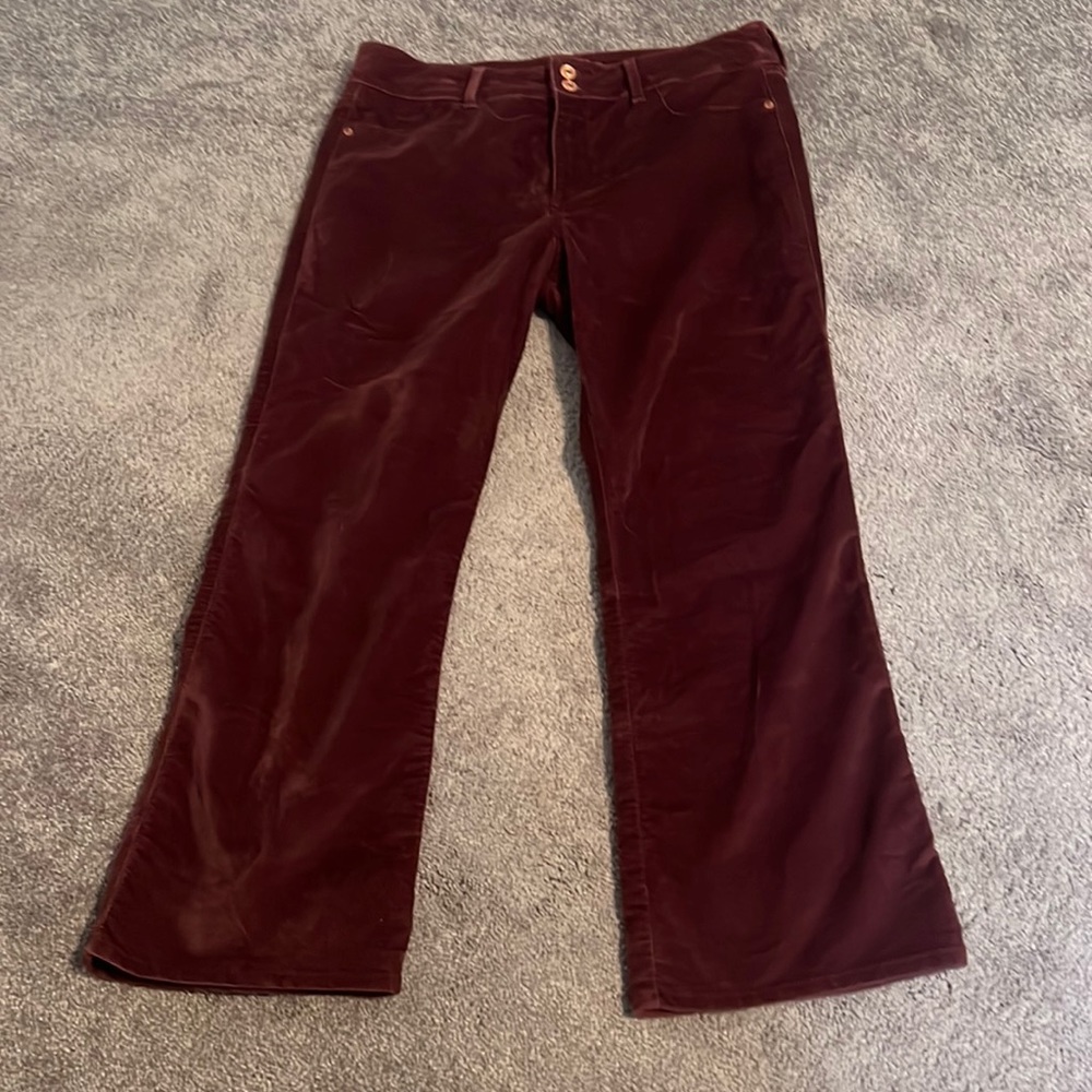 Purple crushed velvet size 31 Abercrombie pants